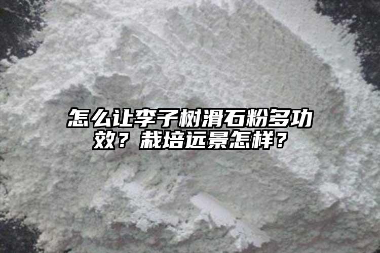 怎么讓李子樹滑石粉多功效？栽培遠景怎樣？