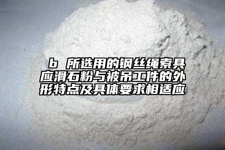  b 所選用的鋼絲繩索具應(yīng)滑石粉與被吊工件的外形特點及具體要求相適應(yīng)
