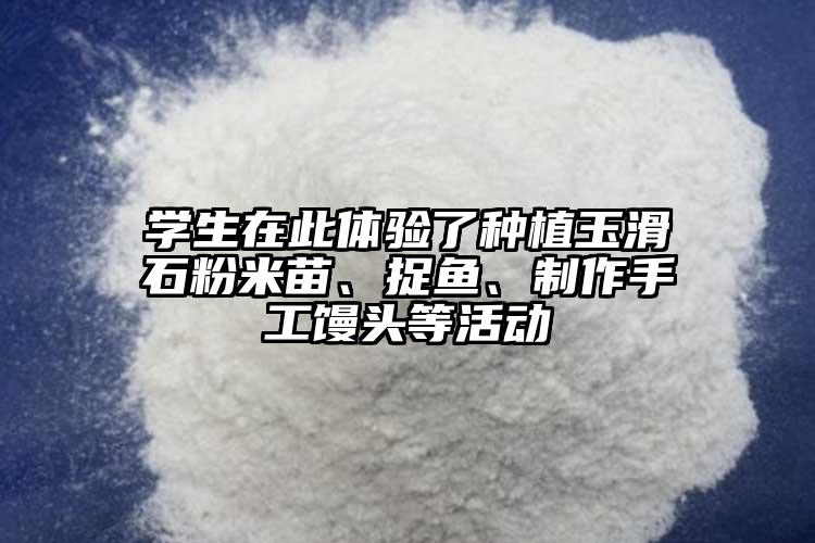 學生在此體驗了種植玉滑石粉米苗、捉魚、制作手工饅頭等活動